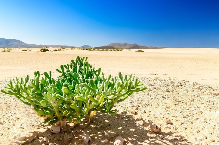 Impression zu AIDA Winter 2026/27 - Kanarische Inselwelt