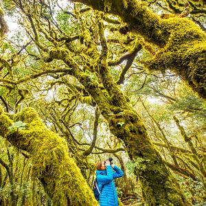 Las Palmas Gran Canaria Spanien Santa Ana 