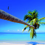 MSC Cruises Catch of the Week Impressionsbild
