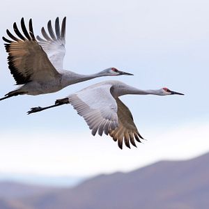 Sans Souci von außen