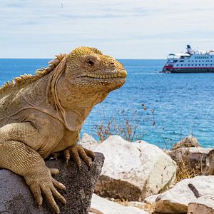 Celebrity Galapagos