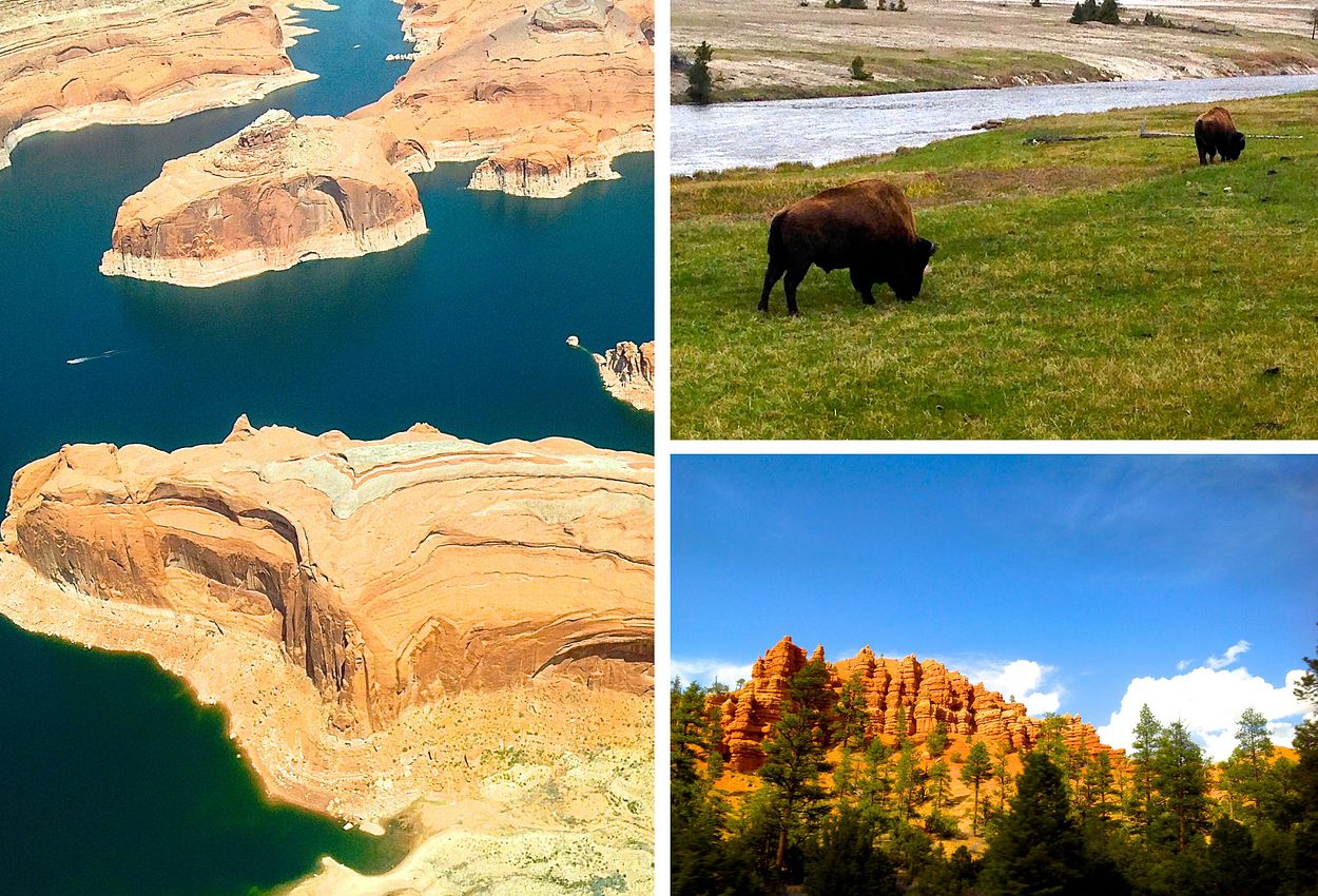 Flug über den Gran Canyon; Bisons im Yellowstone Nationalpark 
