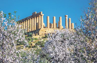 trendtours: Concorde Tempel