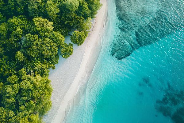 Blog Image MJ tropical beach from top