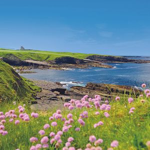 Mullaghmore Head
