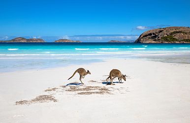 australien, indonesien & singapur