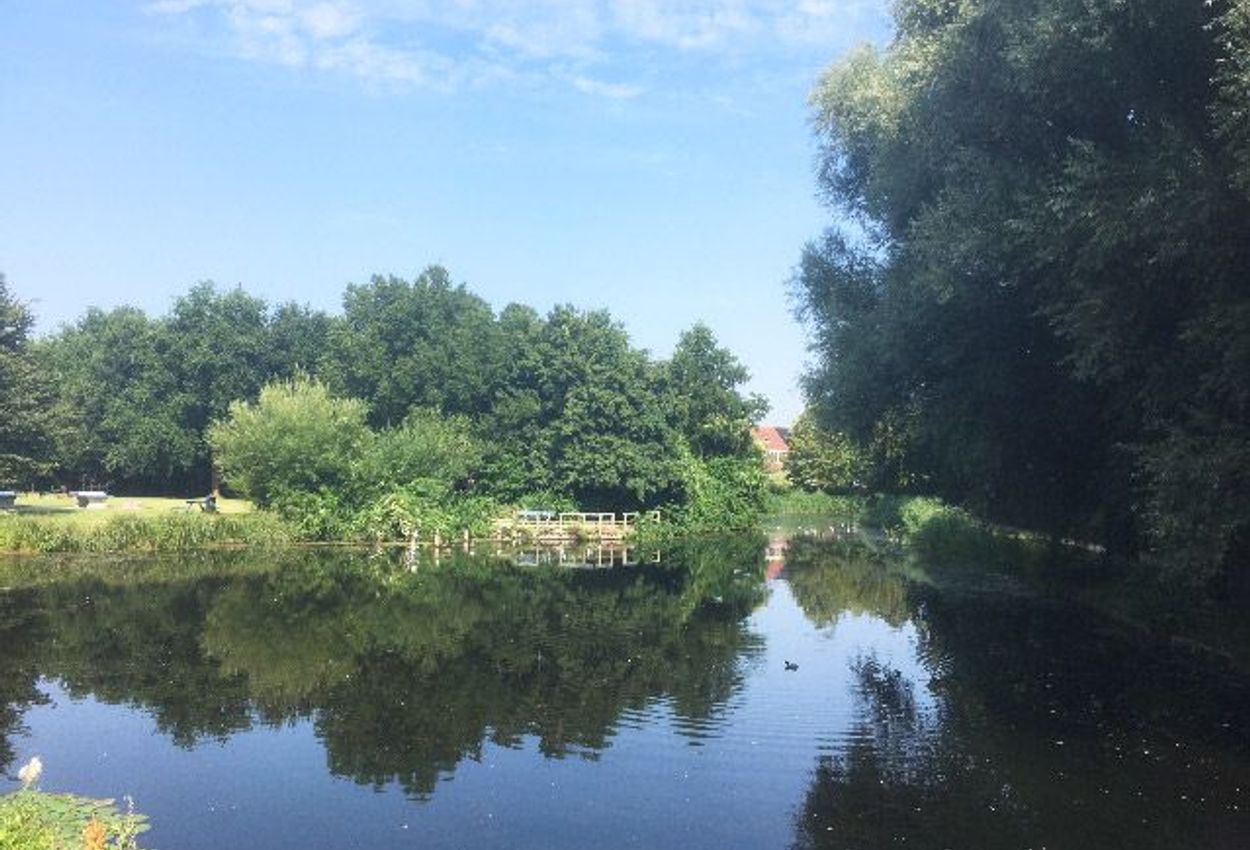 Traumhafte Landschaften rund um Hoorn
