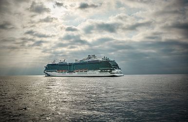 majestic princess