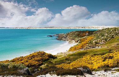 Antarktis und Falklandexpedition