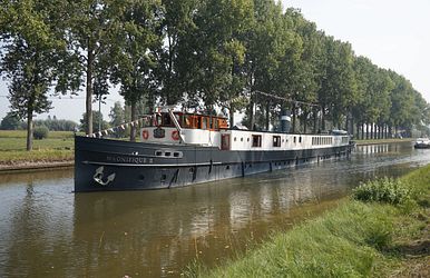 magnifique ii