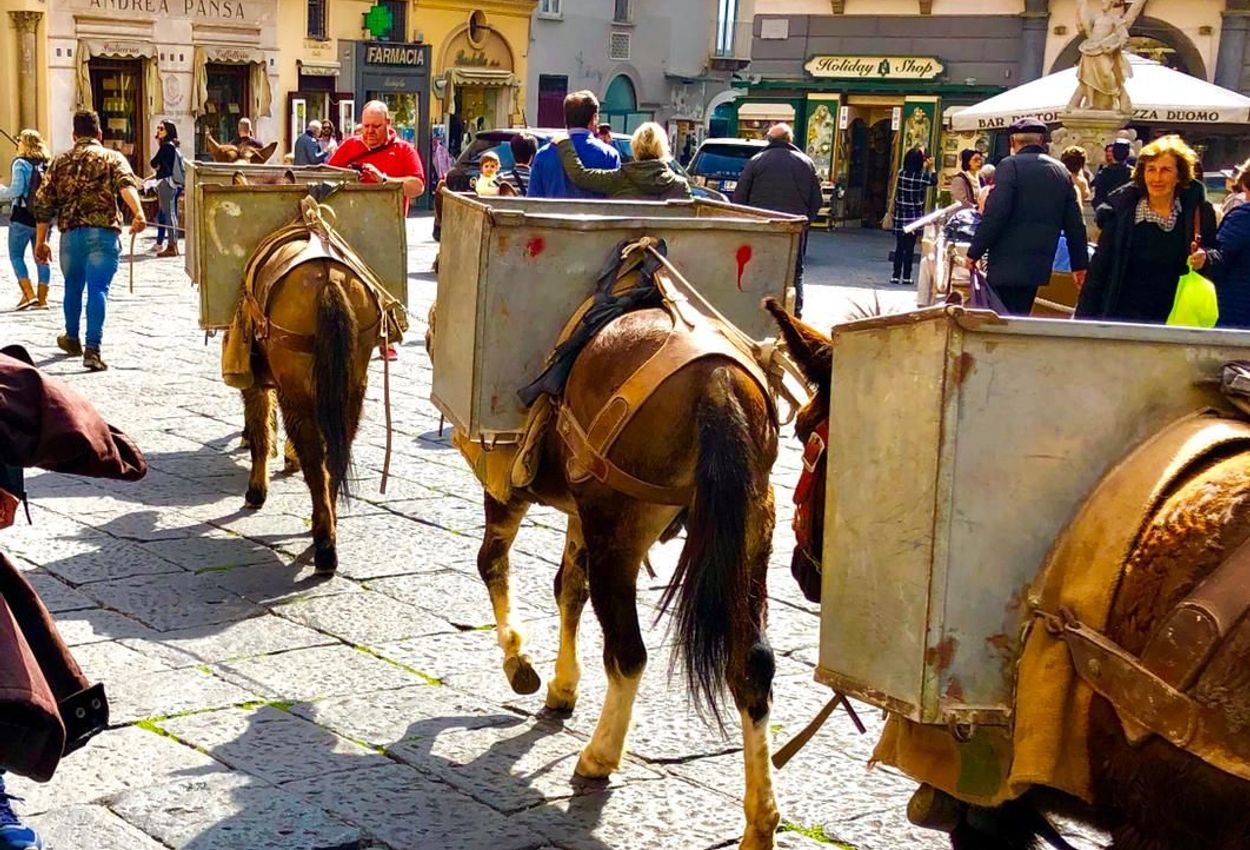 In Amalfi ist die Müllabfuhr noch etwas ursprünglicher