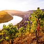 Mosel Impressionsbild