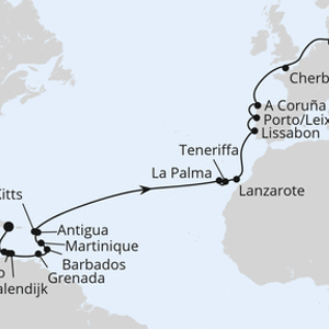 Aruba Karibik Flamingos