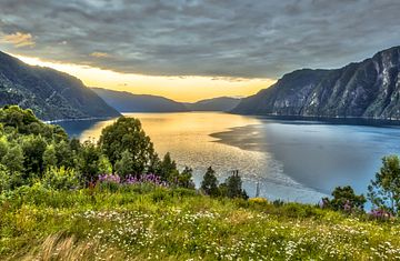 Naturwunder Fjordland