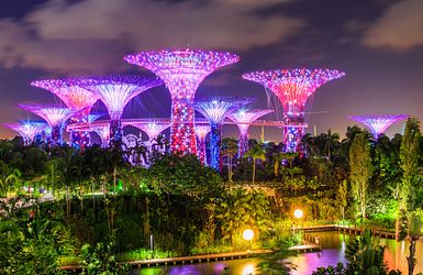 Q:\Destinationen\Singapur\Gardens by the bay - Marina Bay\Garden by the Bay_Singapur AdobeStock_180455221©emperorcosar.jpeg