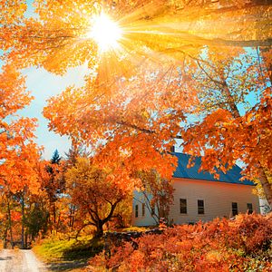 New York City Skyline