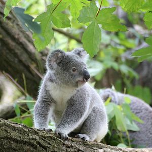 Melbourne Australien