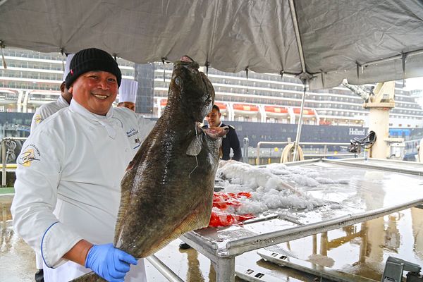 Holland America Line Koch mit Fisch