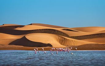 namibia und südafrika intensiv