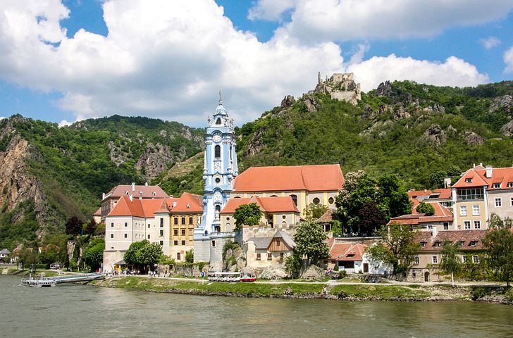 Impressionen zu 1A-vista - MS Classica - Donau intensiv mit Hund