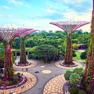 Navigator of the Seas - Royal Caribbean International - Navigator of the Seas