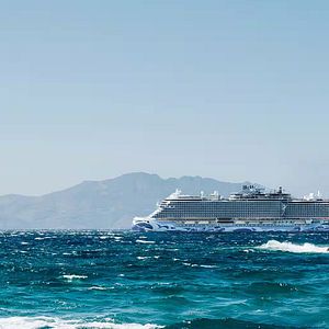 NCL VIVA