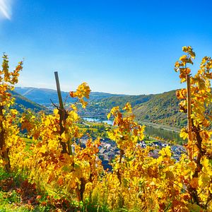 Cochem_AdobeStock_187456827 ©  motivthueringen8