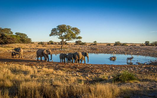 von antalya über namibia nach kapstadt