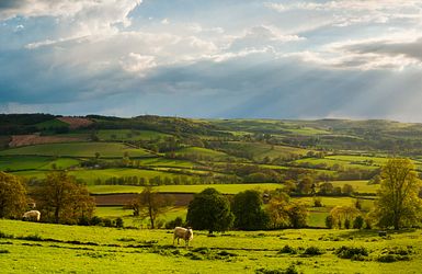 Die Hügellandschaft der Costwolds, Gloucestershire