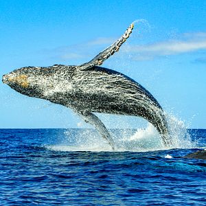 Cabo San Lucas The Arch Mexico