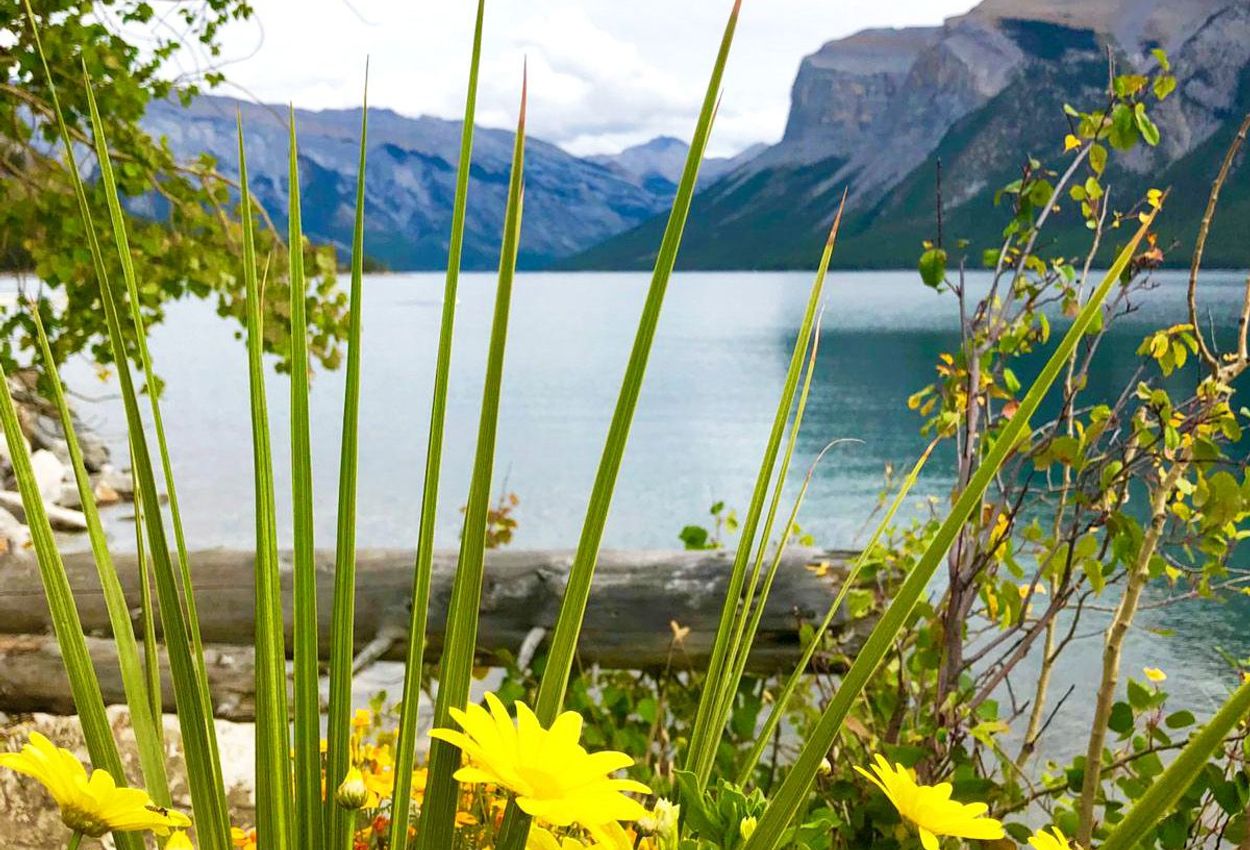 Aussicht in Banff, Kanada