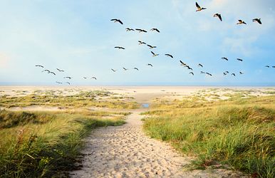 kleine juwelen der ostsee