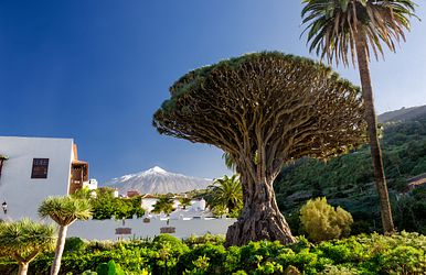 teneriffa – die majestätische kanareninsel