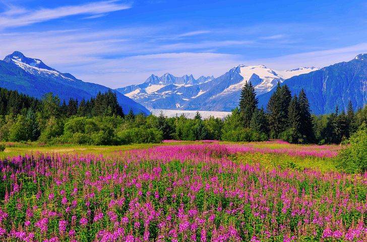 Impression zu Sommer 26 - MSC Poesia - Poesias Nordpazifik-Eskapade