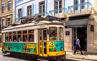 küstenschätze des mittelmeers