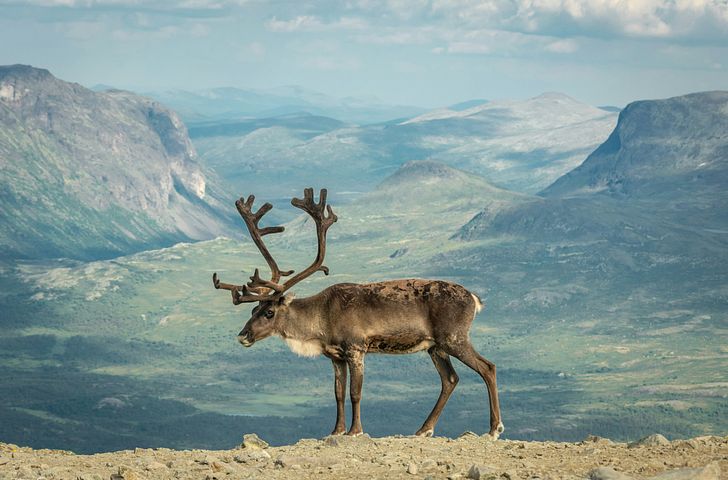 Impressionn zu AIDA Einzelkabinen Special - AIDAperla - Norwegens Fjorde