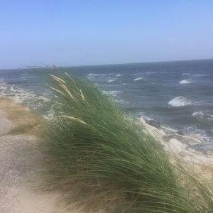 Strandkorb Wangerooge Langeoog