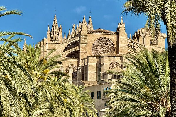 Kathedrale La Seu