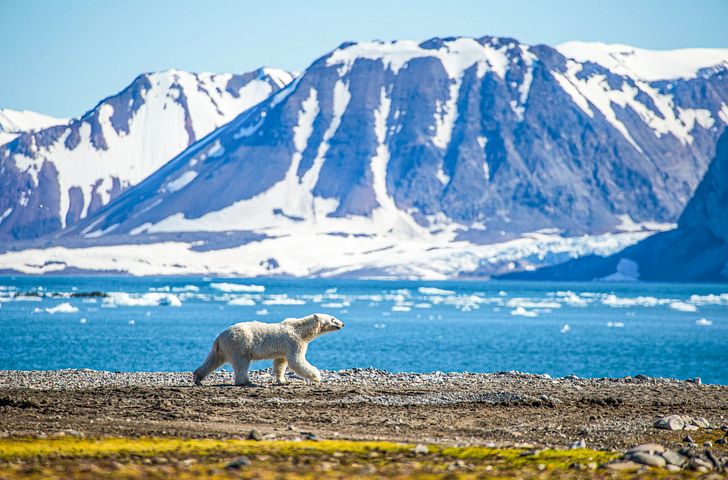 Impression zu Sommer 2026 - Mein Schiff 7 - Große Abwechslung im Hohen Norden