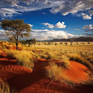 Sossusvlei, Namibia, Afrika