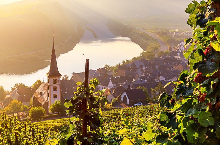 Impressionen zu A-ROSA Last Minute - Mosel Erlebnis