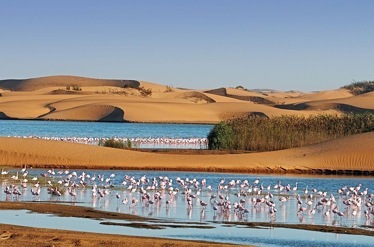 Impression zu AIDA Angebot der Woche - AIDAstella - Von Mallorca über Südafrika nach Mauritius