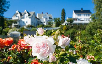 nordische wunderreise