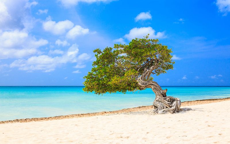 von kiel in die karibik