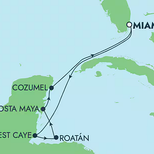 Meeresschildkröte in Cozumel 