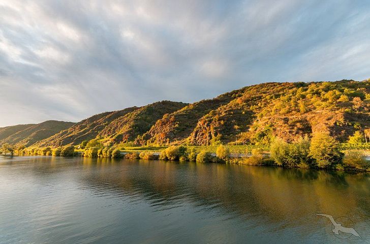 Impression zu MS Anesha - Mosel - Traumhafte Mosel