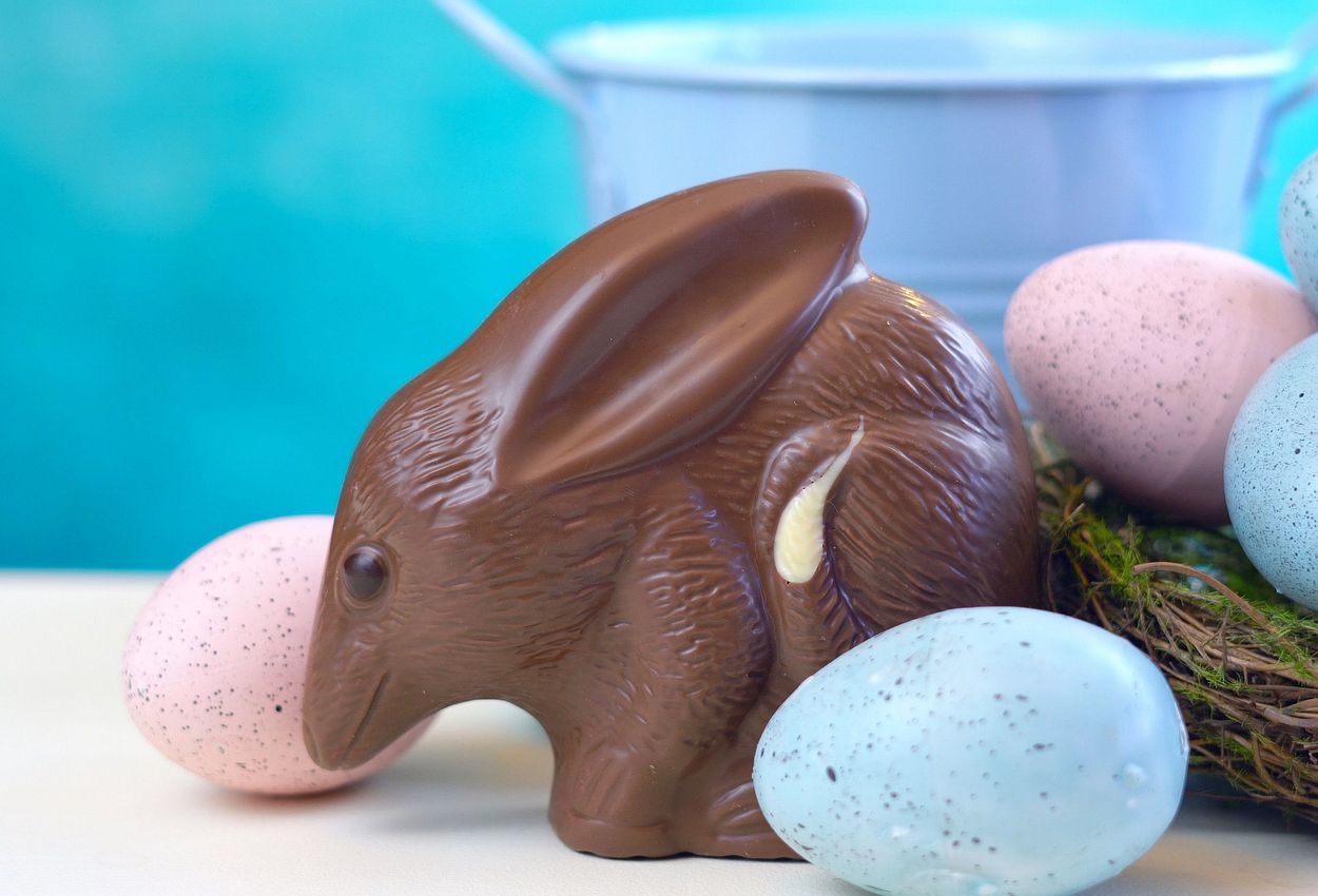 Der sogenannte Oster-Bilby - ein Schokoladen-Hase mit Rüsselnase