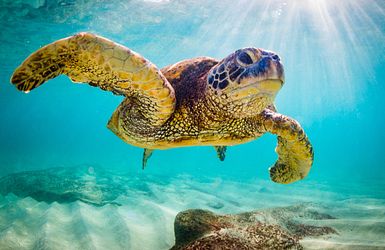Round the World – wenn ein Traum zur Reise wird