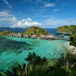 Leguan Fidschi Inseln 