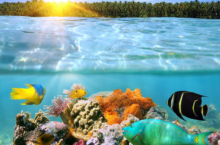 Impression zu Festtagsreisen 2026/27 - Norwegian Epic - Karibische Juwelen